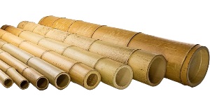 Bamboe Moso palen 200-300-400-500-600 cm
